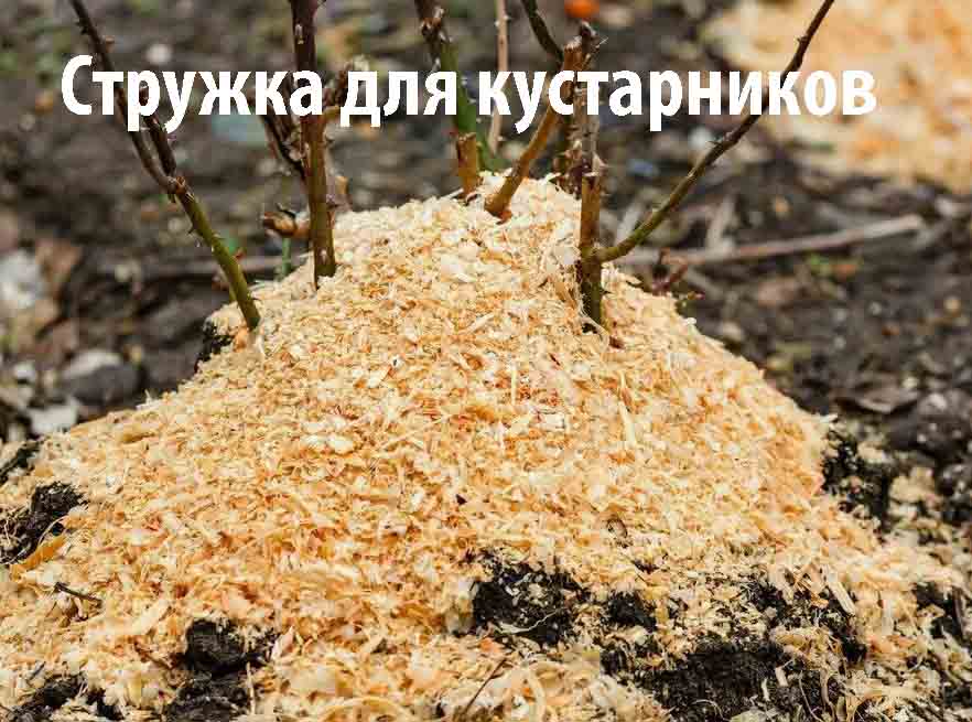 Стружка древесная для кустарников
